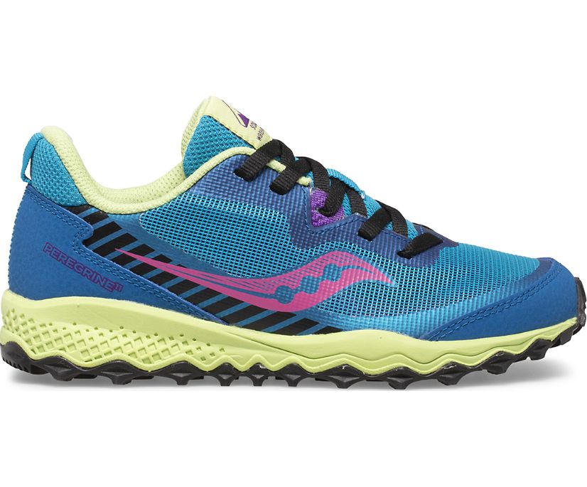 Tenis Saucony Peregrine 11 Shield Niños Azul Marino Rosas Verdes Claro | México 894PJJQ